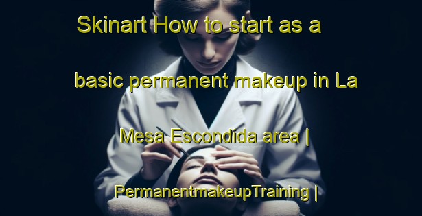 Skinart How to start as a basic permanent makeup in La Mesa Escondida area | PermanentmakeupTraining | PermanentmakeupClasses | SkinartTraining-Mexico